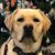 Kristin Shively's profile image