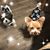Nancy Fiorentino's profile image