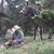 Kelly Probst Toner's profile image