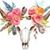 Donna Bruck's profile image