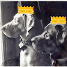 Lourinda L.'s profile image