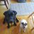 Cindy Bricko-Lobitz's profile image