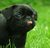 LeeAnne M.'s profile image