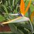 Josette Buehlman's profile image