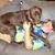 Cathy Roxbury's profile image