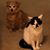 Nancy Major Mercure's profile image