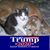 Susan Witter Hosinski's profile image