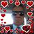 David Mcintosh's profile image