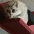 Jill Raines Brower Lang's profile image