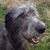 Jean Ault's profile image