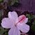 Heather Anderson's profile image