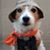 Kathy Fournelle's profile image