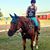 Erin Harper Posey's profile image