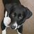 Kathy Sch's profile image