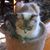 Pauline Gladstone's profile image