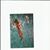 Tina Savini's profile image