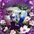 Donna Terry's profile image