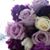 Elsa B. Ramos's profile image