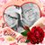Trish Schmidt Endsley's profile image