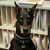 Jessica Baldwin's profile image