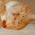 Karen Sue Faith Mason's profile image