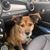 Holly Spence Bray's profile image