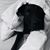 Debra Morrissey's profile image