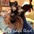 Kathy Moxley Benton's profile image
