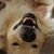 Scott Schweiger's profile image