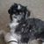 Jul Monninger's profile image