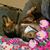 Cindy Giluso's profile image