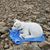Kathy Collis Marollo's profile image