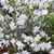 Linda Fletschinger Lusk's profile image