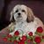 Kathy Dean Rennie's profile image