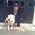 Myriam Nava's profile image