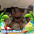 Amanda Smith's profile image