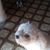 Cleta Gabbard-Robinson's profile image