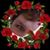 Linda Jones's profile image
