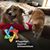 Judi Goloff's profile image
