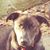 Betty MacDowell's profile image