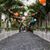 Duyen Duong's profile image
