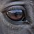 Karla Terry's profile image