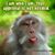 Brian Kirin's profile image