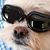 Cynthia St Louis's profile image