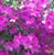 Channa Gilmore Braud's profile image