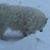 David Maloon's profile image