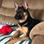Kim Turnbow Brown's profile image