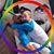 Danny Sutton's profile image