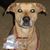 Darlene Bram's profile image