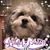 Toni Blondell's profile image